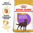ROYAL CANIN Labrador Retriever Adulte Stérilisé 12 kg