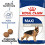 ROYAL CANIN Maxi adult 26 4 kg