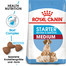 ROYAL CANIN Medium Starter Mother & Babydog 4 kg