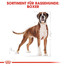 ROYAL CANIN Boxer 12 kg