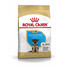 ROYAL CANIN German shepherd junior 3 kg