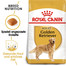 ROYAL CANIN Golden Retriever Adult 12 kg