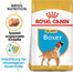 ROYAL CANIN Boxer 30 junior 12 kg