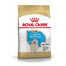 ROYAL CANIN Golden retriever junior 3 kg