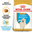 ROYAL CANIN Golden Retriever Junior 1 kg