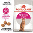 ROYAL CANIN Exigent protein preference 42 10 kg
