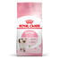 ROYAL CANIN Kitten 36 10 kg