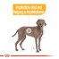 ROYAL CANIN Maxi Dermacomfort 10 kg