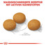 ROYAL CANIN Maxi Dermacomfort 10 kg