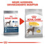 ROYAL CANIN Maxi Dermacomfort 10 kg