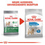 ROYAL CANIN Mini light weight care 1 kg - croquettes pour chiens adultes, petites races sujettes au surpoids