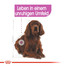 ROYAL CANIN Medium relax care 10 kg