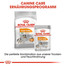 ROYAL CANIN Mini coat care 3 kg