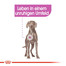 ROYAL CANIN Maxi Relax Care 9 kg