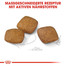 ROYAL CANIN Maxi Relax Care 9 kg