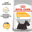 ROYAL CANIN Mini Dermacomfort 8 kg