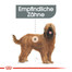 ROYAL CANIN Maxi Dental Care 3 kg