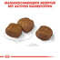 ROYAL CANIN Maxi Dental Care 9 kg