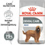 ROYAL CANIN Maxi Dental Care 9 kg