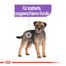 ROYAL CANIN Mini sterilised 1 kg