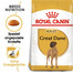 ROYAL CANIN Great dane 23 adult 12 kg