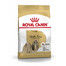 ROYAL CANIN Shih Tzu adult 7.5 kg