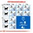 ROYAL CANIN Indoor 27 4 kg