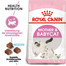 ROYAL CANIN Babycat 34 4 kg