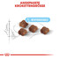 ROYAL CANIN Babycat 34 4 kg