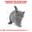 ROYAL CANIN Kitten British Shorthair 2 kg