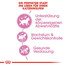 ROYAL CANIN Kitten sterilised 2 kg