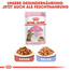 ROYAL CANIN Kitten sterilised 2 kg