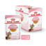 ROYAL CANIN Kitten Sterilised 12 x 85 g