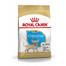 ROYAL CANIN Chihuahua junior 0.5 kg