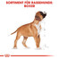 ROYAL CANIN Boxer 30 junior 12 kg