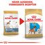 ROYAL CANIN Boxer 30 junior 12 kg
