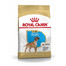 ROYAL CANIN Boxer 30 junior 12 kg