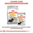 ROYAL CANIN Mini dermacomfort 3 kg