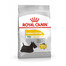 ROYAL CANIN Mini dermacomfort 3 kg