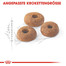 ROYAL CANIN Fit 32 4 kg