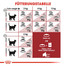 ROYAL CANIN Fit 32 4 kg