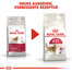 ROYAL CANIN Fit 32 4 kg