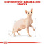 ROYAL CANIN Sphynx Adult 10 kg