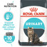 ROYAL CANIN Urinary care 4 kg - croquettes pour chat adulte