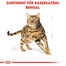 ROYAL CANIN Bengal Adult 2 kg