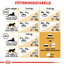 ROYAL CANIN Bengal Adult 2 kg