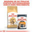 ROYAL CANIN Bengal Adult 2 kg
