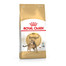 ROYAL CANIN Bengal Adult 2 kg