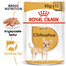 ROYAL CANIN Chihuahua Adult 12 x 85g