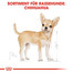 ROYAL CANIN Chihuahua Adult 12x85g
